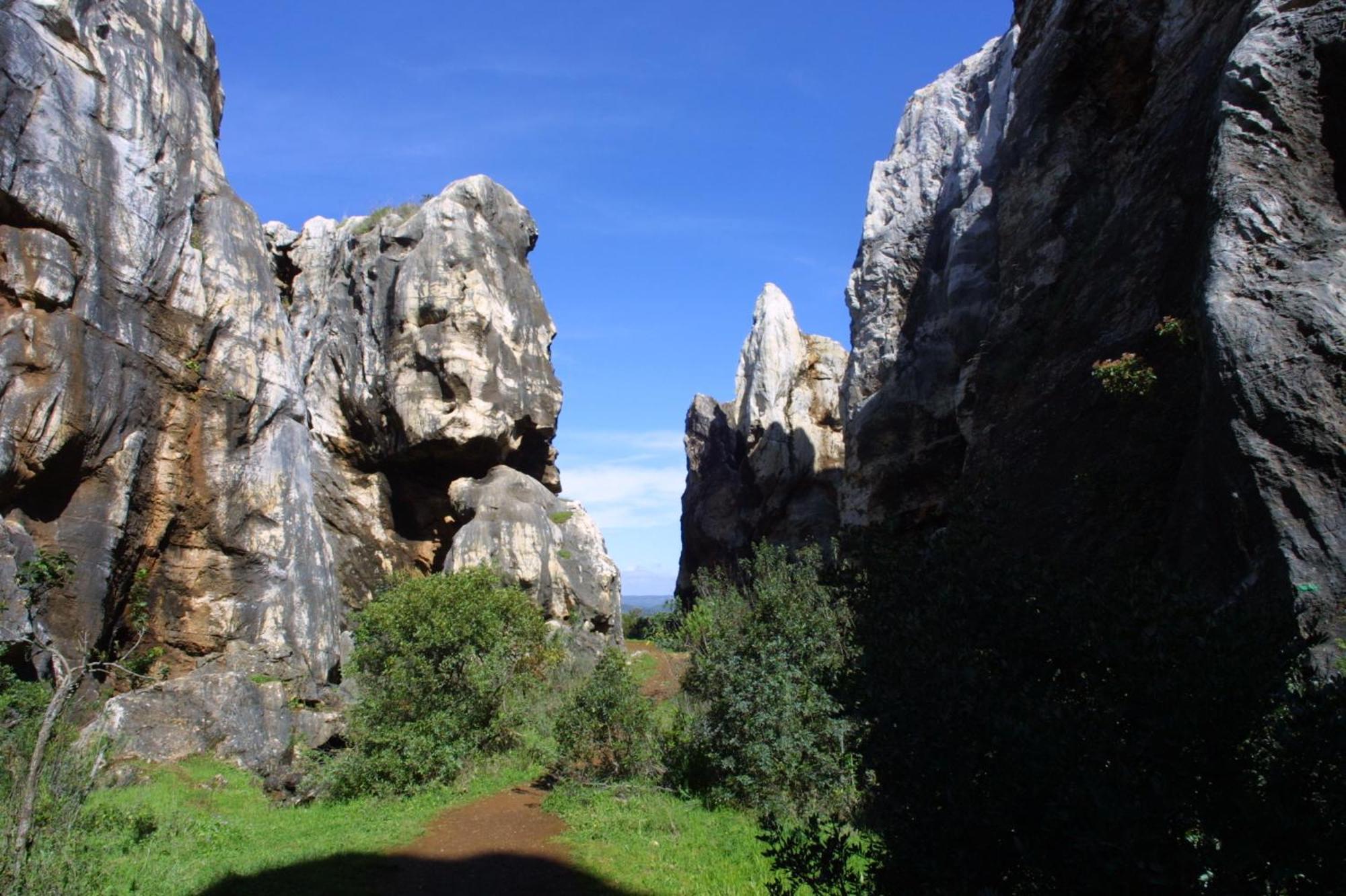 Las Navezuelas Cazalla de la Sierra Exterior foto